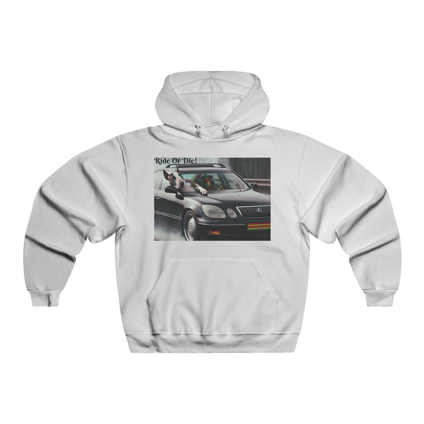 Ride Or Die~ In It For The Ride~Hooded Sweatshirt