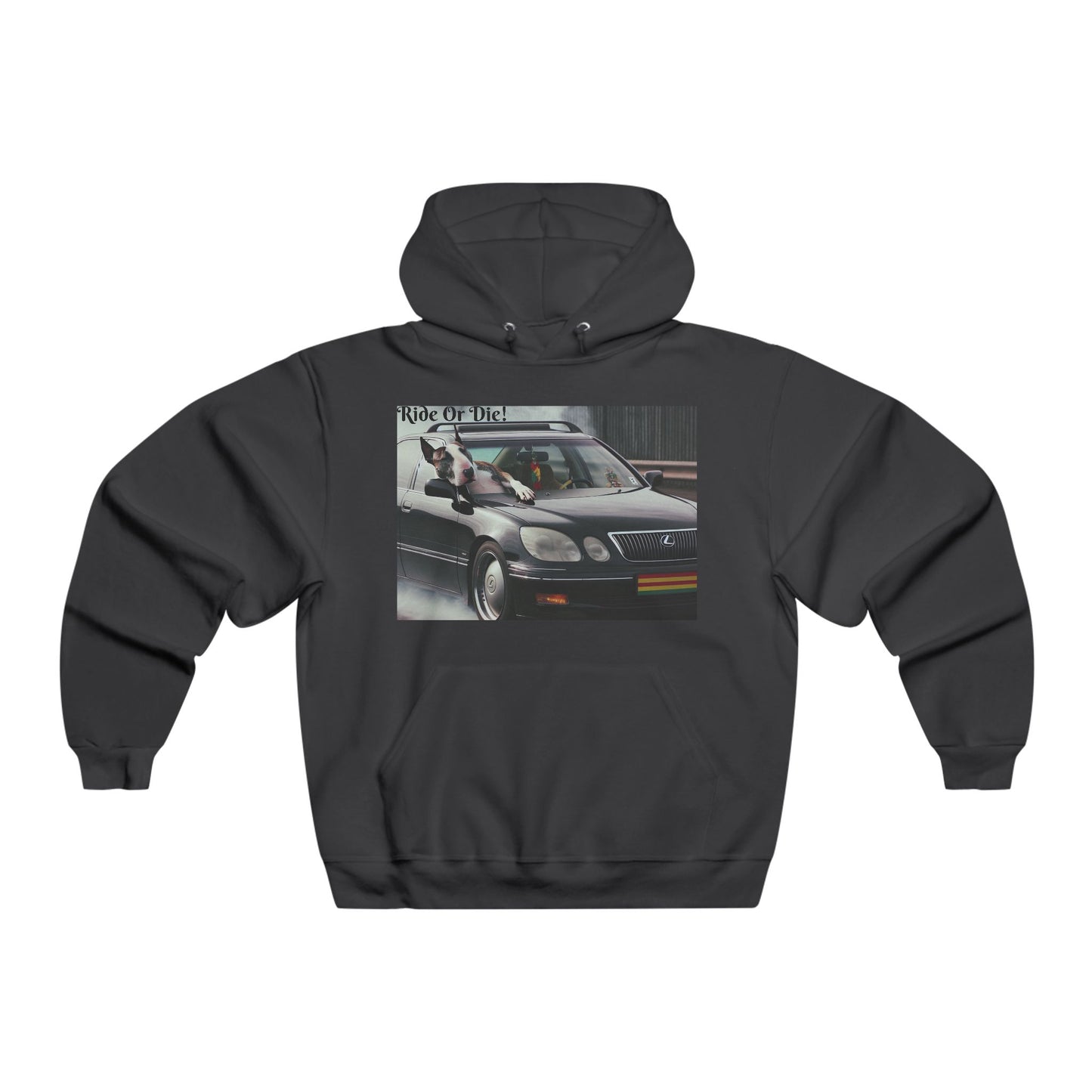 Ride Or Die~ In It For The Ride~Hooded Sweatshirt