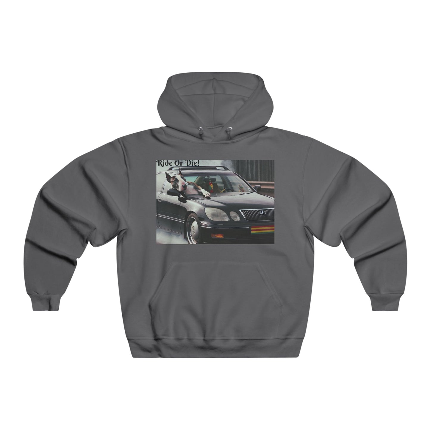 Ride Or Die~ In It For The Ride~Hooded Sweatshirt