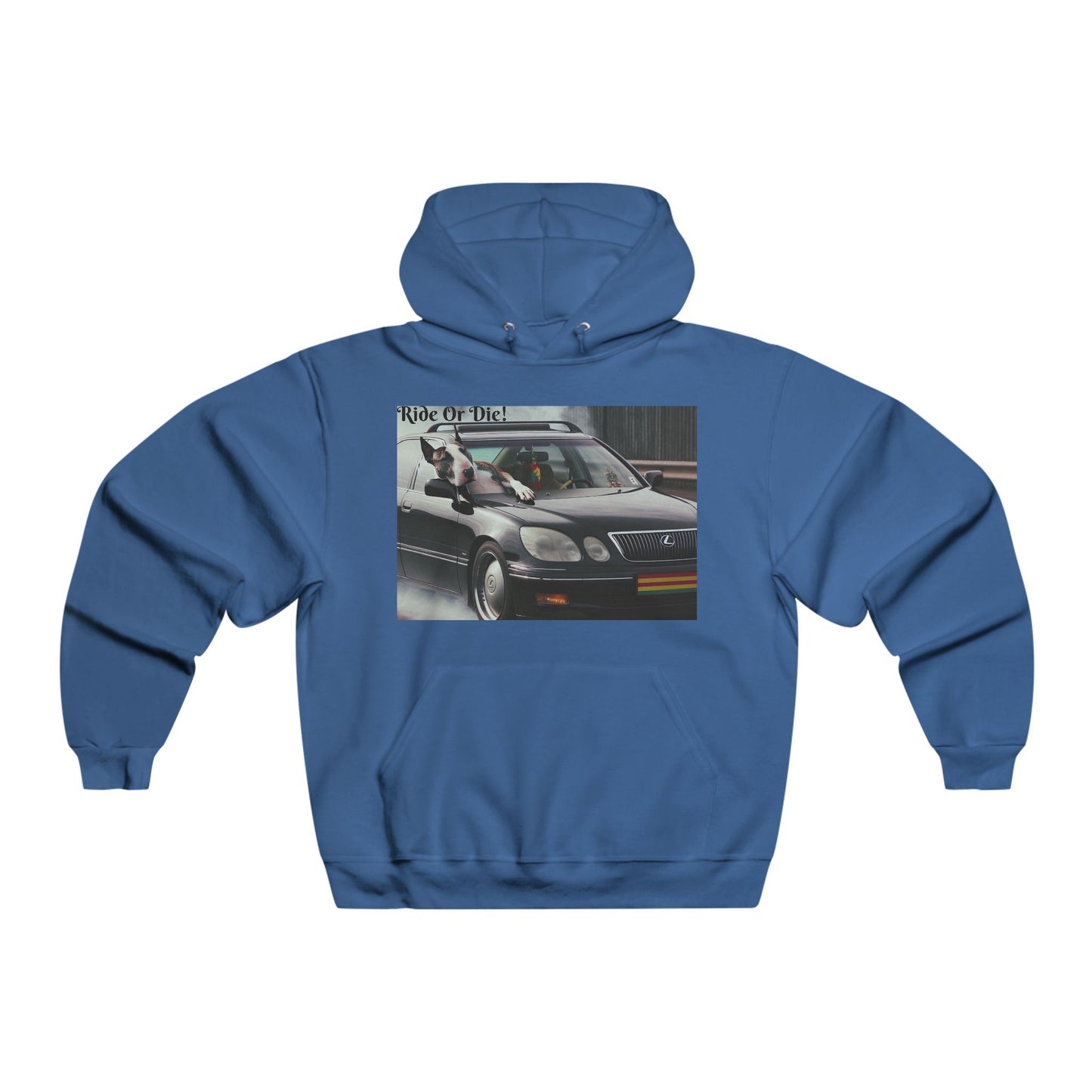 Ride Or Die~ In It For The Ride~Hooded Sweatshirt