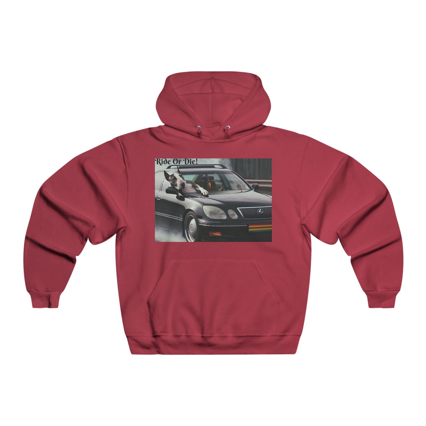 Ride Or Die~ In It For The Ride~Hooded Sweatshirt