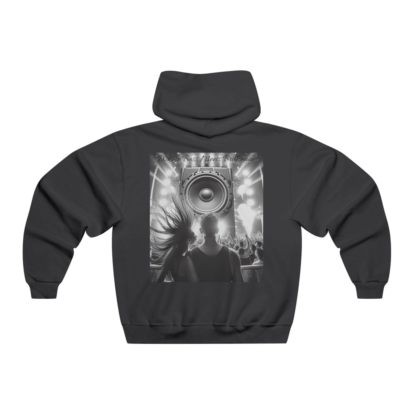 Where Bass Meets Brilliance Hooded Sweatshirt