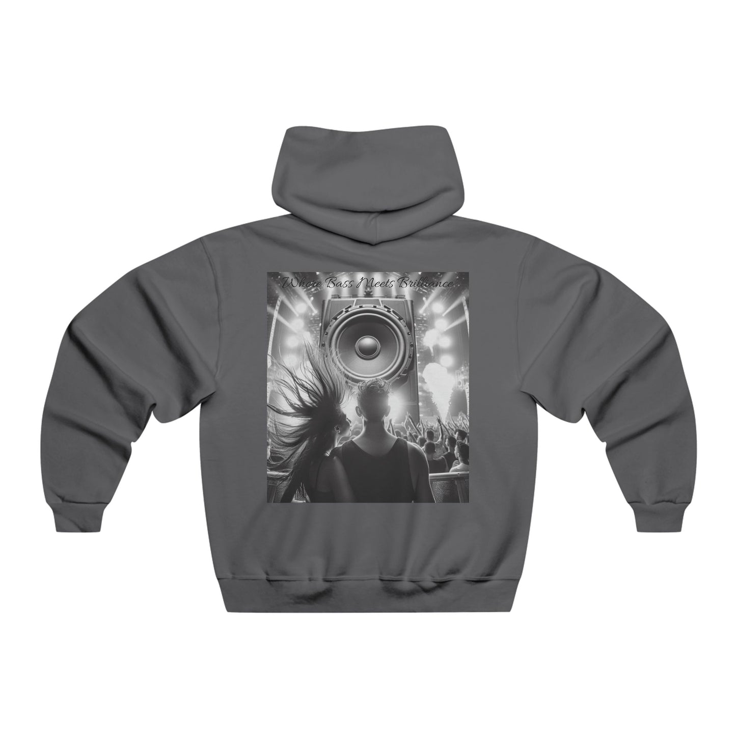 Where Bass Meets Brilliance Hooded Sweatshirt
